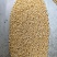 白芥子中药材白芥子批发零售