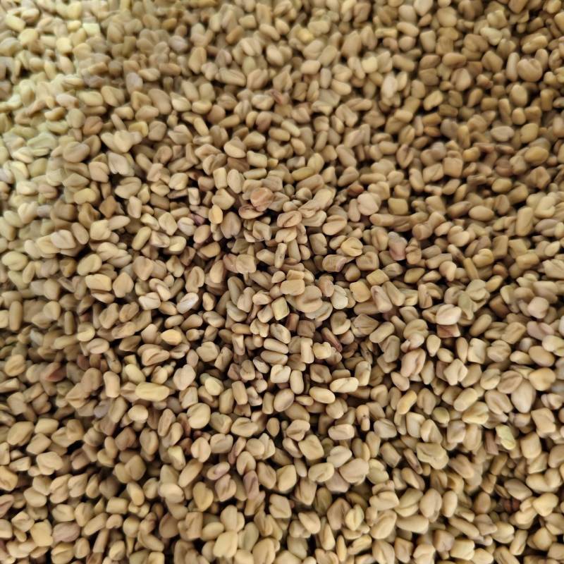 葫芦巴子中药材芦巴子批发零售量大优惠
