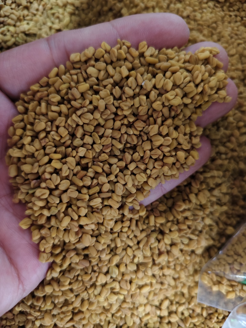 葫芦巴子中药材芦巴子批发零售量大优惠