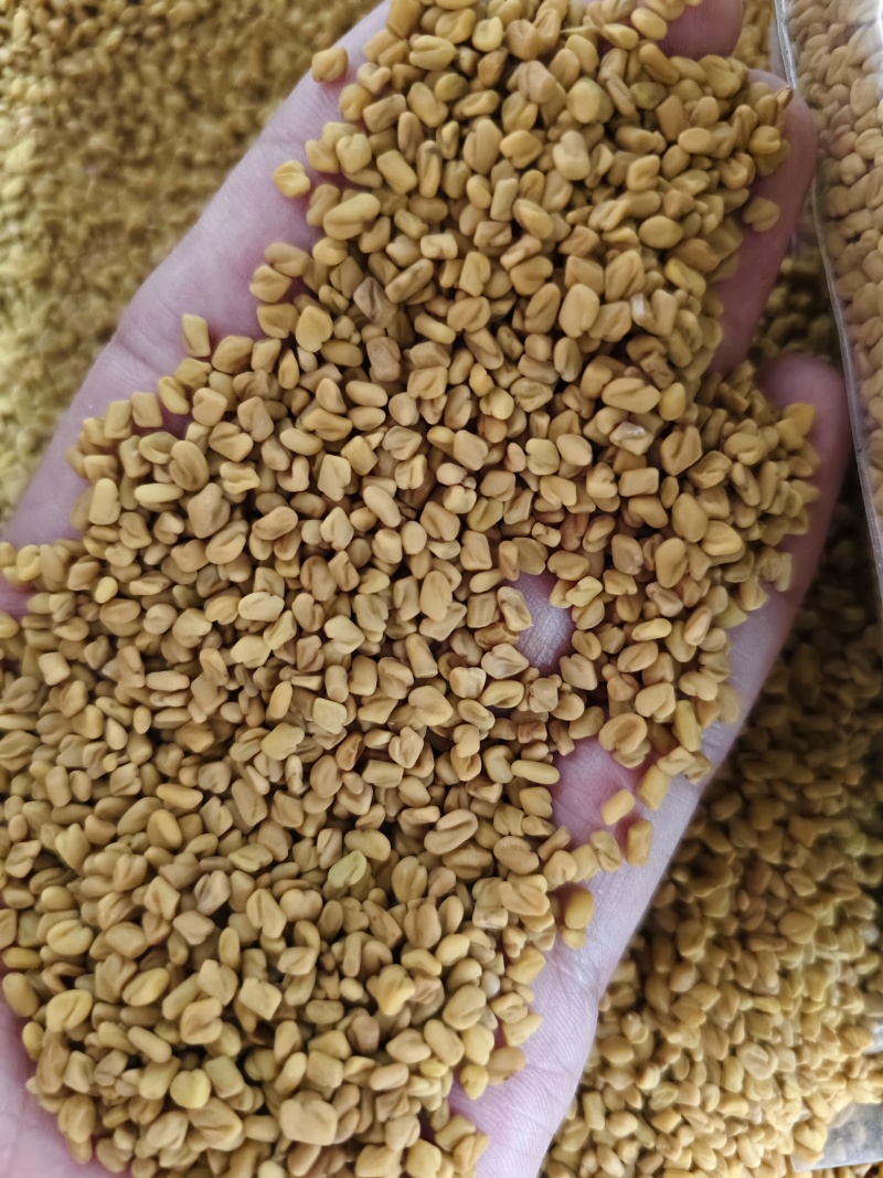 葫芦巴子中药材芦巴子批发零售量大优惠