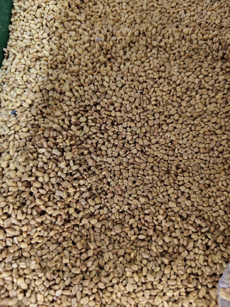 葫芦巴子中药材芦巴子批发零售量大优惠