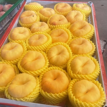 油盘九号