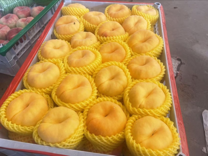油盘九号