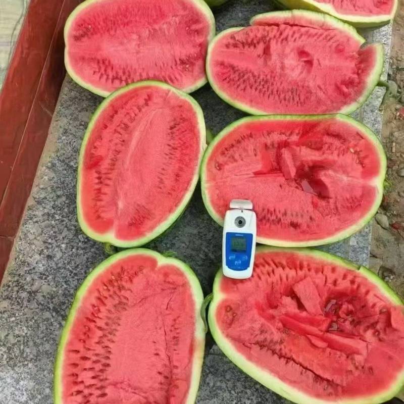 宁夏中卫石头瓜一级货皮薄肉厚口感杠杠滴