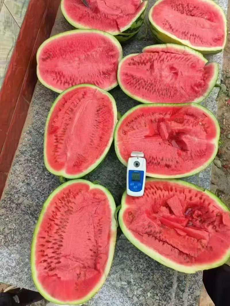 宁夏中卫石头瓜一级货皮薄肉厚口感杠杠滴