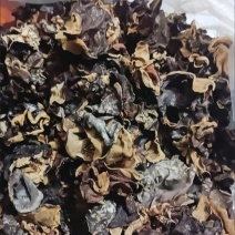 毛木耳饭店食堂电商赶大集地摊批发大量供应