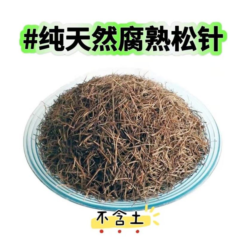 精品腐熟松针