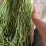 精品长豆角【牛】实力发货，长豆角产地，每天大量发货！