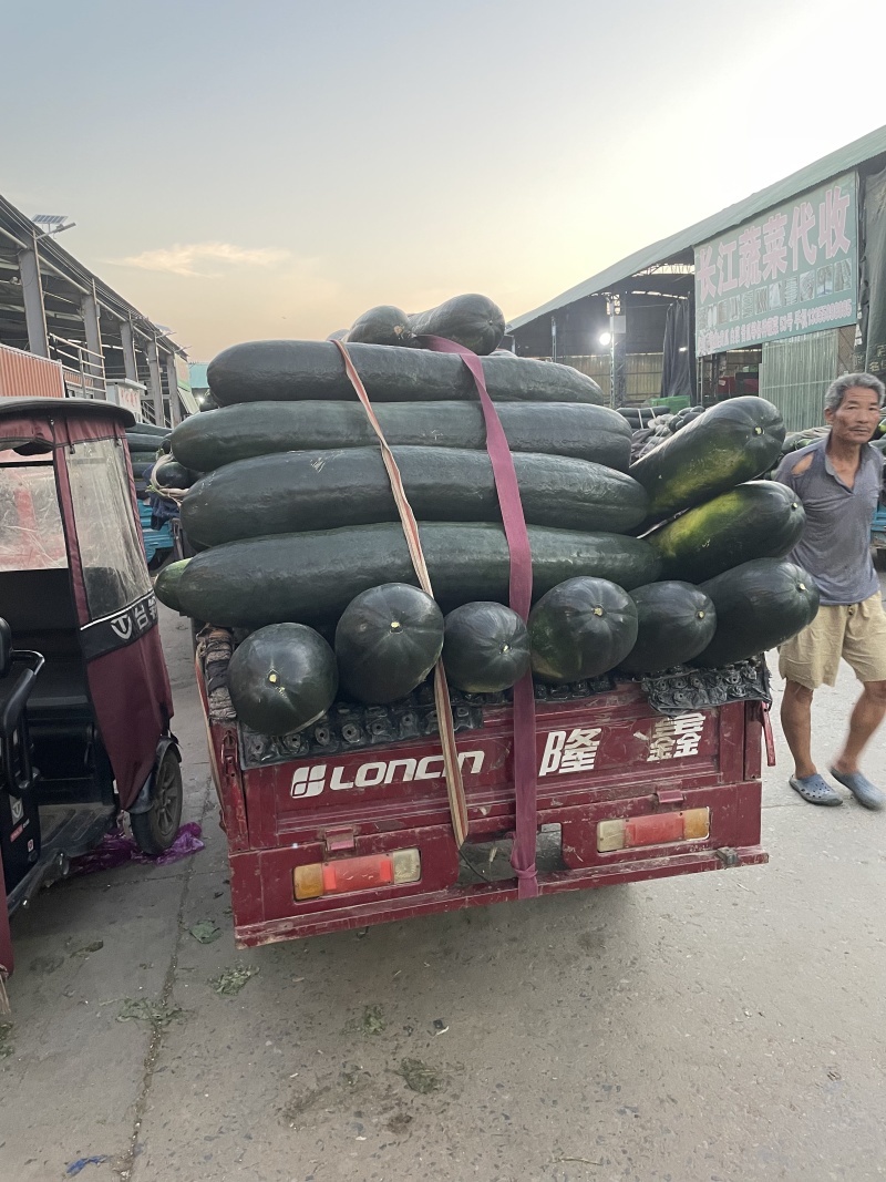 山东黑皮大冬瓜产地直供量大优惠价格美丽