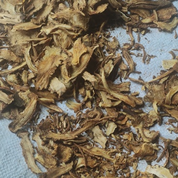 当归油片