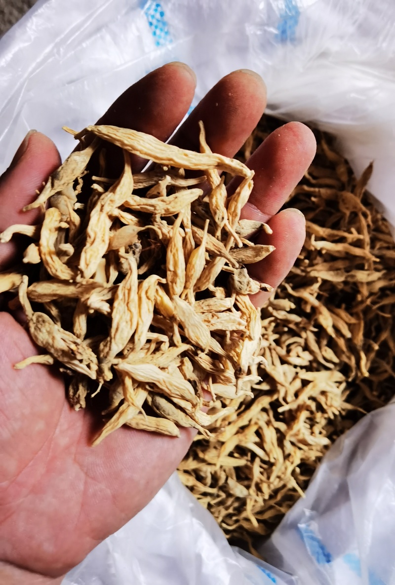 优质麦冬供应多样规格自产自销新鲜货源全天候服务保障
