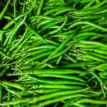 二荆条辣椒。甘肃陇上小江南。基地直发。量大。支持各种包装