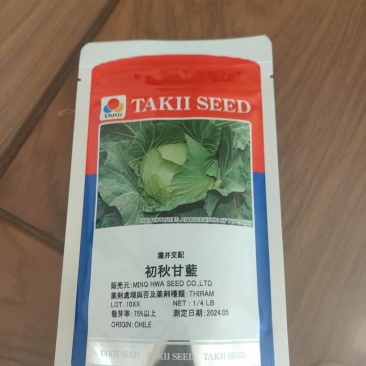 日本初秋有机无公害水果甘蓝台湾技术员种植指导，可现场采摘