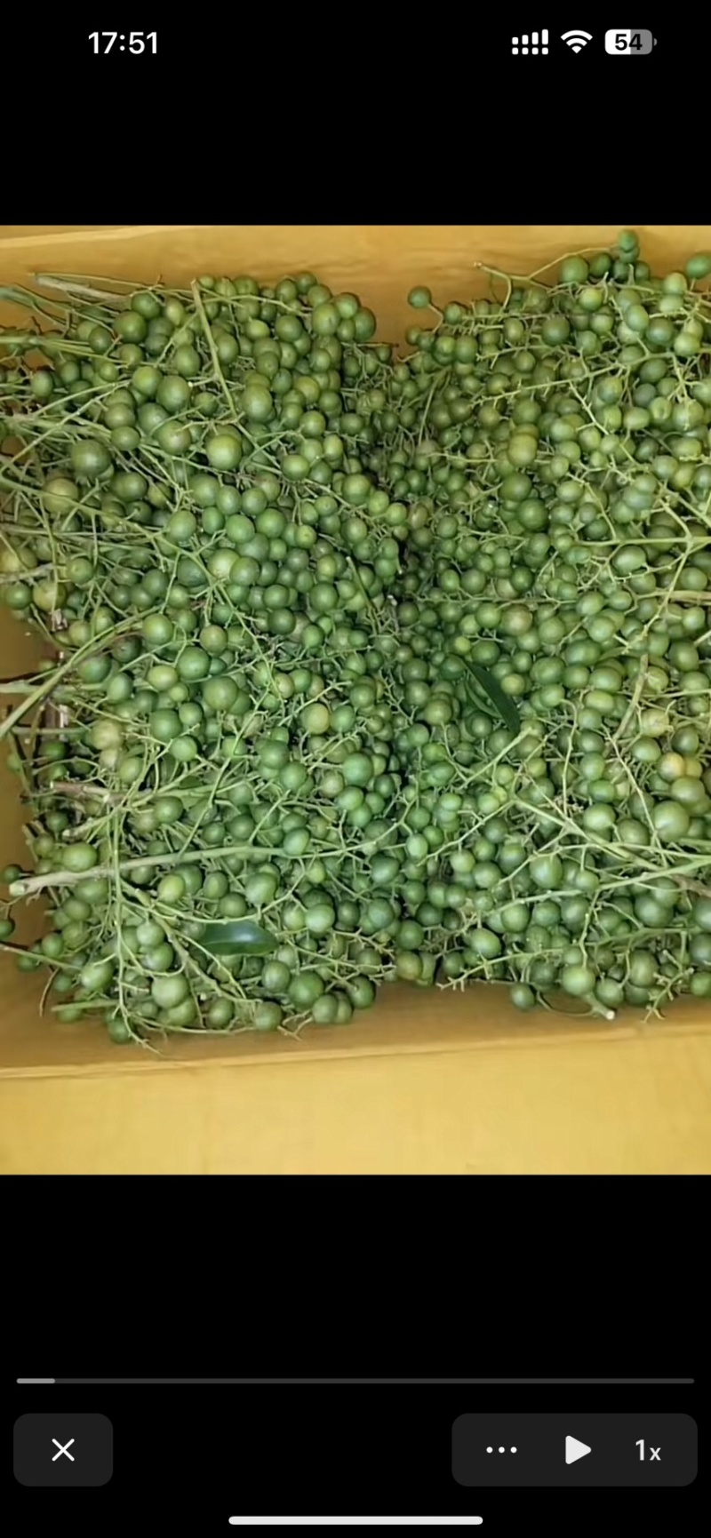 腌制的山黄皮