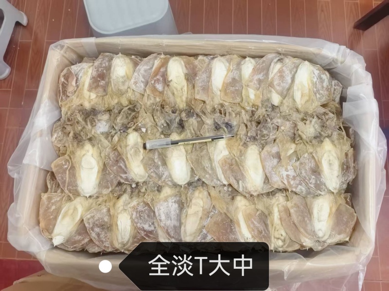 浙江东海全干全淡水墨鱼干，口感好味道香回头率超高。