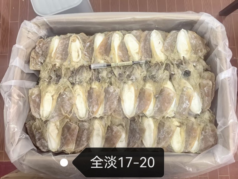 浙江东海全干全淡水墨鱼干，口感好味道香回头率超高。