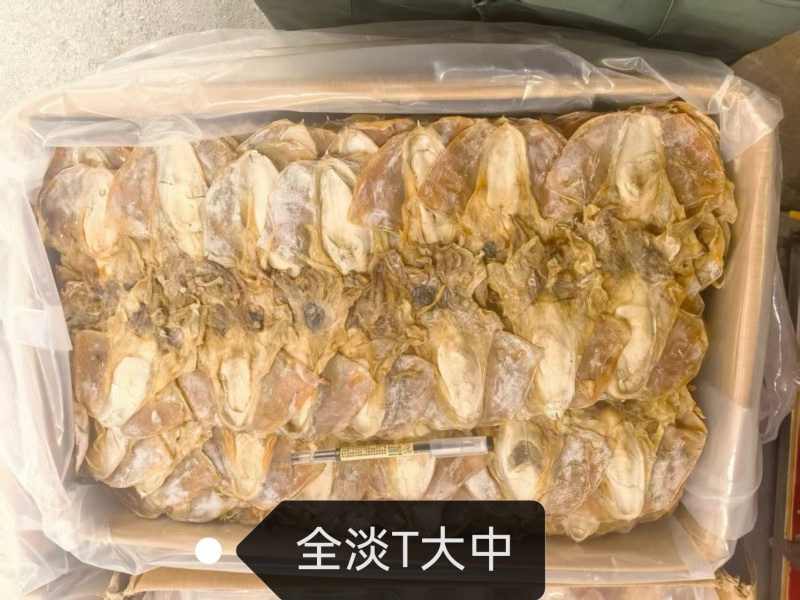 浙江东海全干全淡水墨鱼干，口感好味道香回头率超高。
