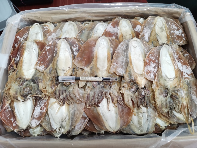 浙江东海全干全淡水墨鱼干，口感好味道香回头率超高。