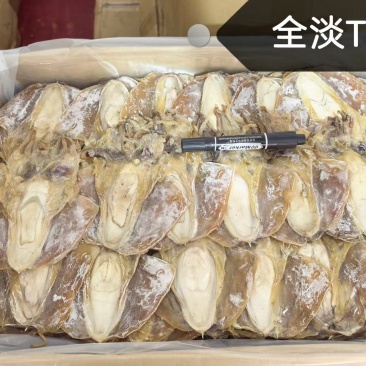 浙江东海全干全淡水墨鱼干，口感好味道香回头率超高。