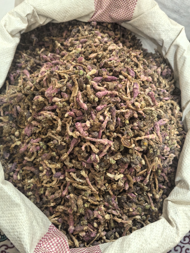 款冬花冬花山东七彩百草中药材批发多种规格产地供应