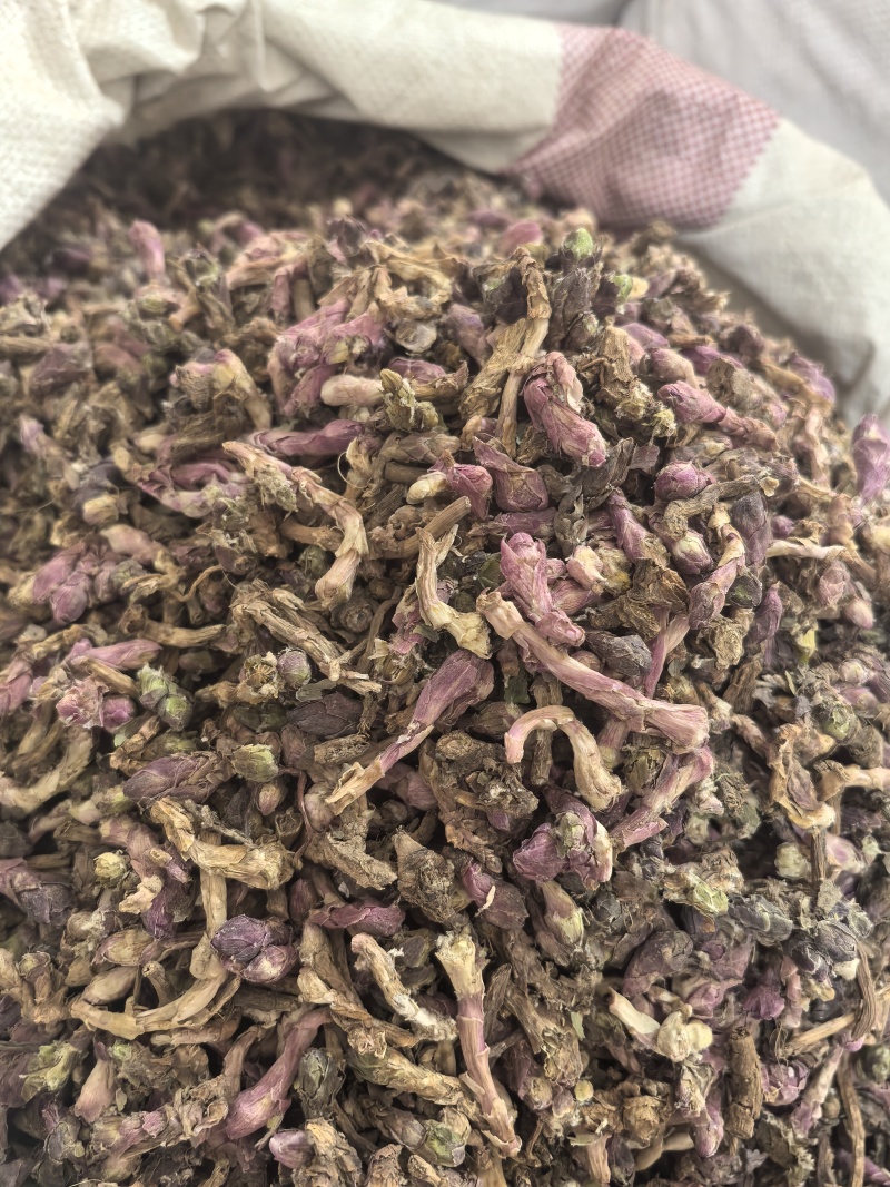 款冬花冬花山东七彩百草中药材批发多种规格产地供应