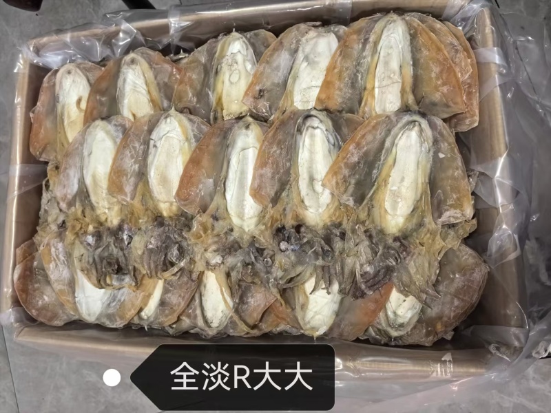 浙江东海全干全淡水墨鱼干，口感好味道香回头率超高。