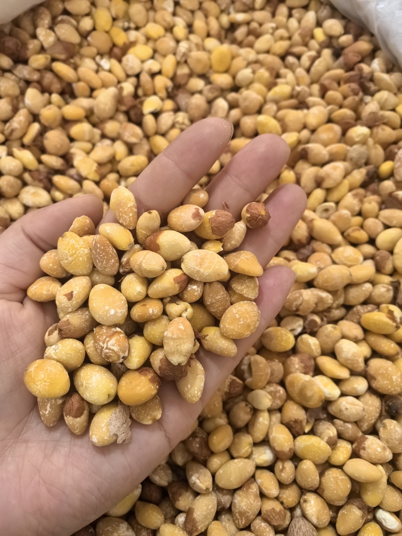 白果仁白果银杏果多种规格七彩百草中药材批发