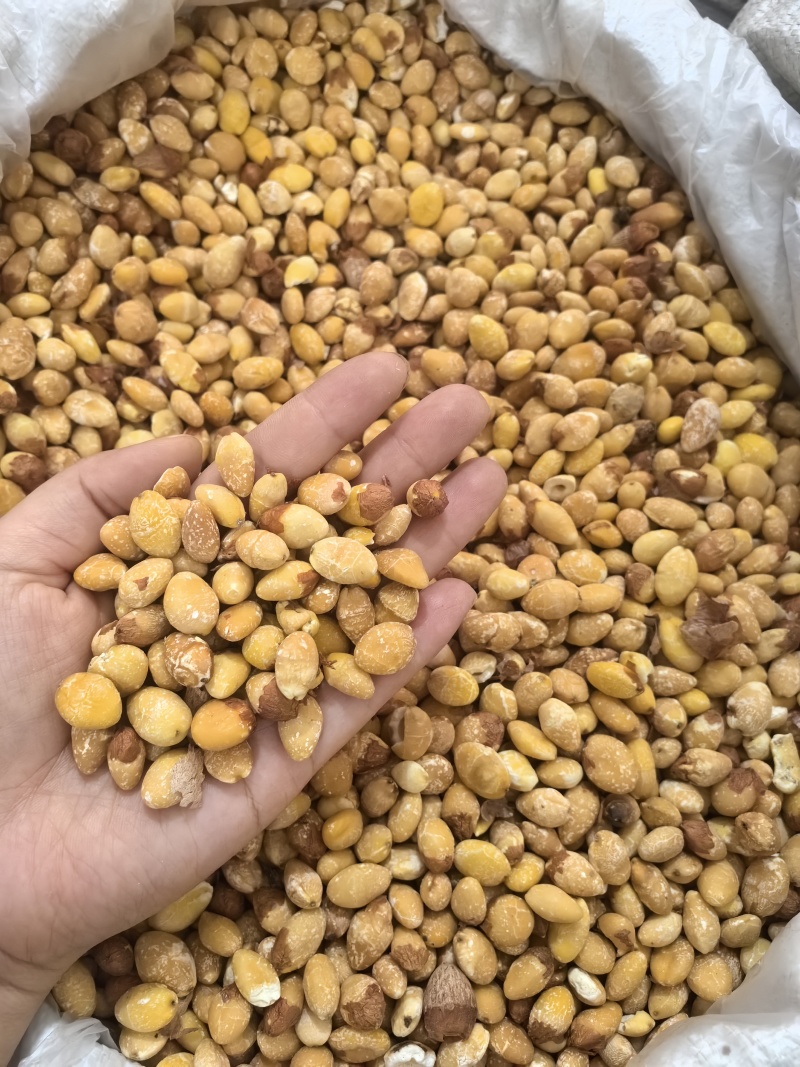 白果仁白果银杏果多种规格七彩百草中药材批发