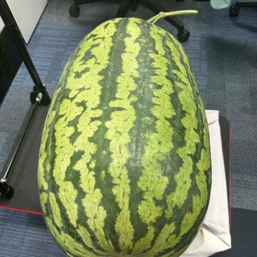 西瓜口感好，品种多，价钱实惠，产地大量供应，随行就市！