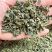 桑叶茶正宗无硫桑叶茶新货上市夏季刚需产品