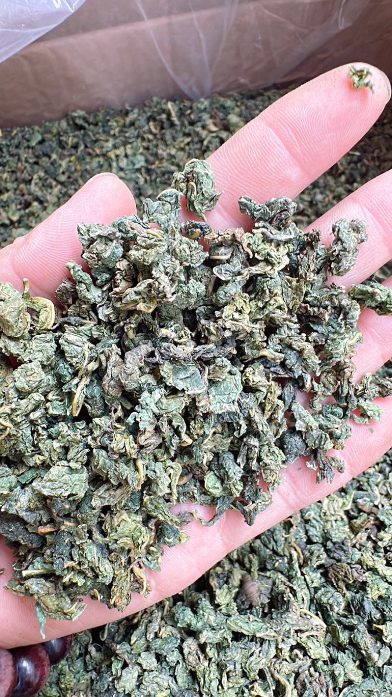 桑叶茶正宗无硫桑叶茶新货上市夏季刚需产品