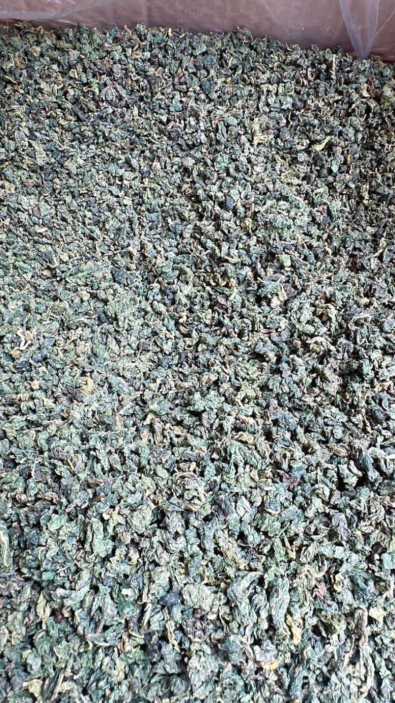 桑叶茶正宗无硫桑叶茶新货上市夏季刚需产品