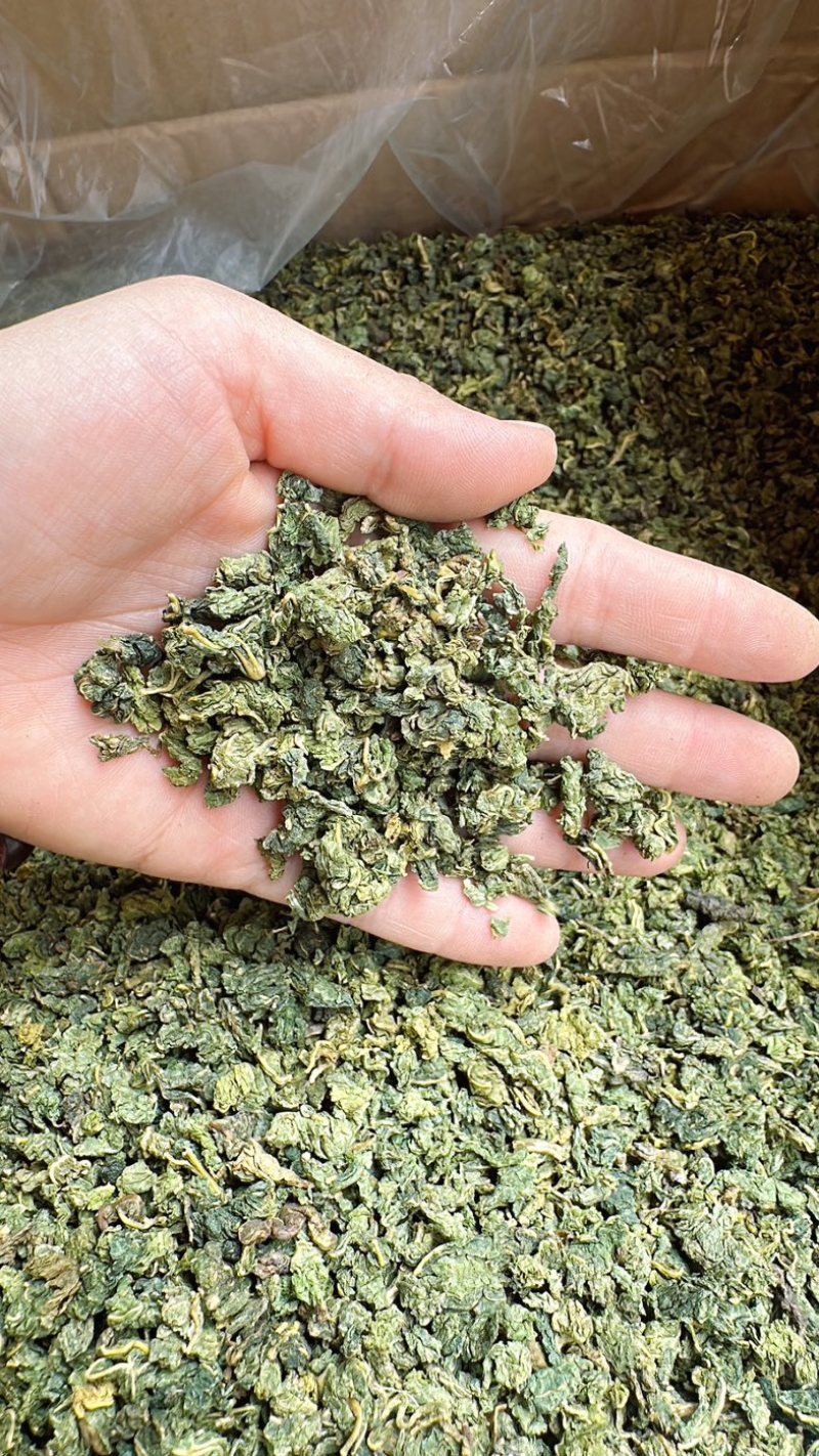 桑叶茶正宗无硫桑叶茶新货上市夏季刚需产品