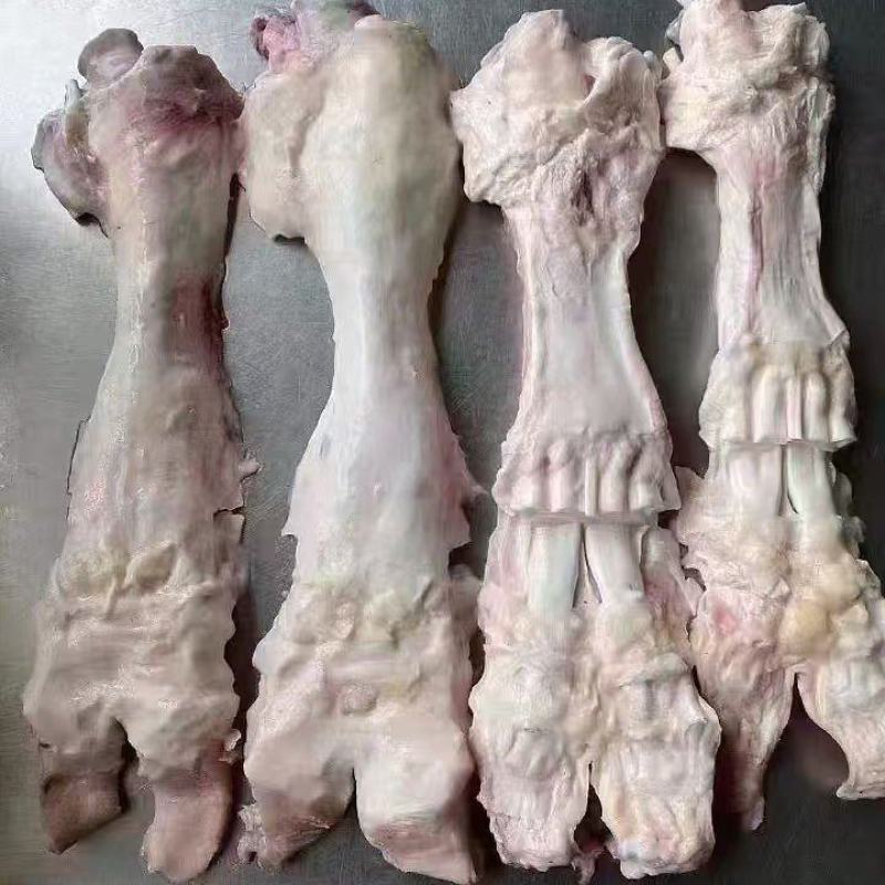 牛主筋