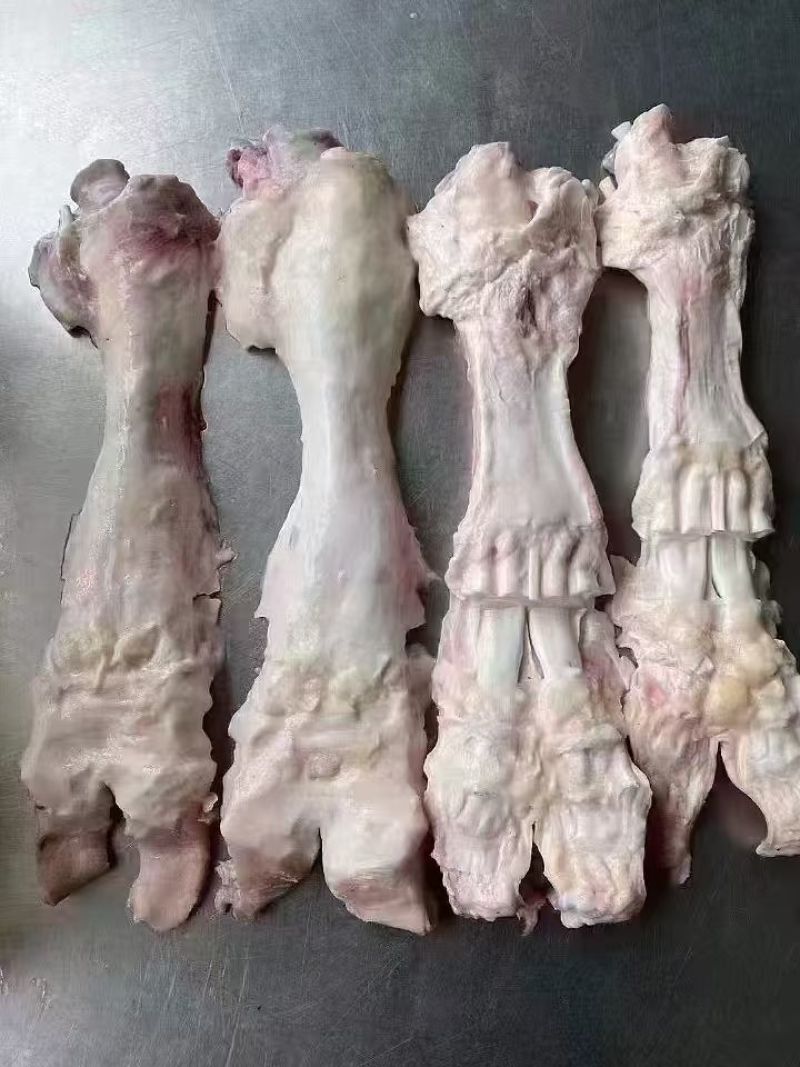 牛主筋