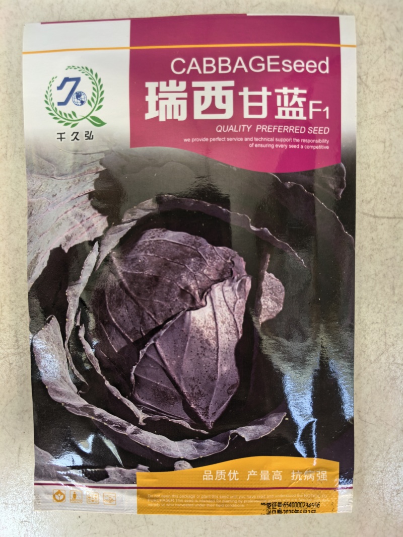 瑞西紫甘蓝种子圆球杂交耐裂紫色甘蓝大头菜紫包心菜春秋蔬菜