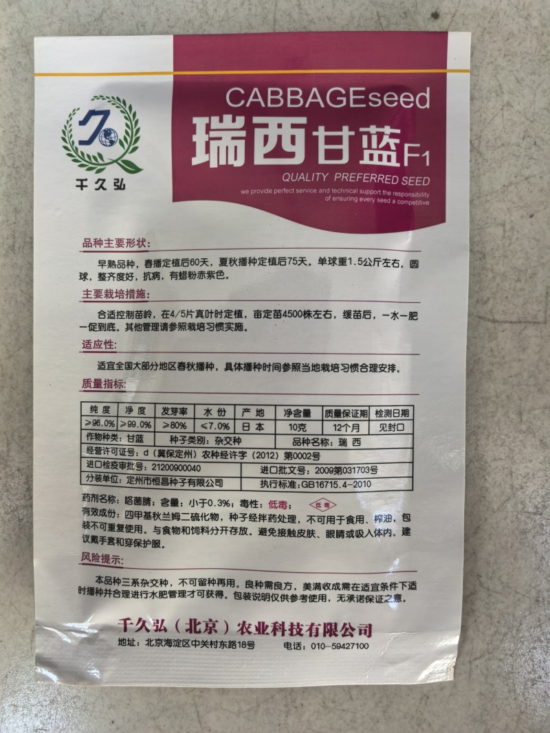 瑞西紫甘蓝种子圆球杂交耐裂紫色甘蓝大头菜紫包心菜春秋蔬菜