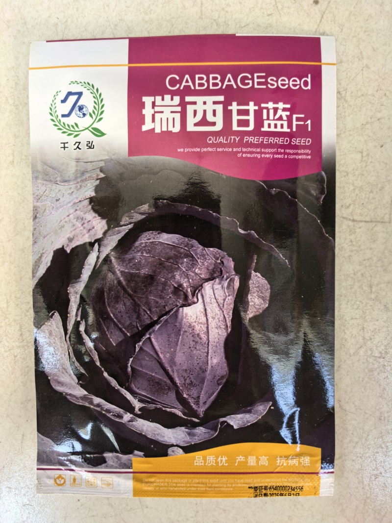 瑞西紫甘蓝种子圆球杂交耐裂紫色甘蓝大头菜紫包心菜春秋蔬菜