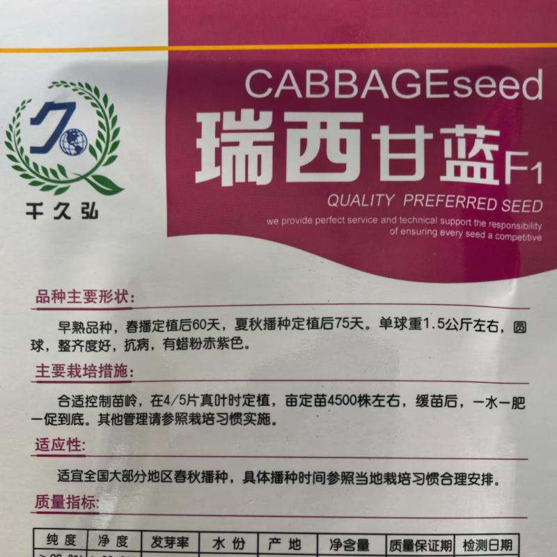 瑞西紫甘蓝种子圆球杂交耐裂紫色甘蓝大头菜紫包心菜春秋蔬菜