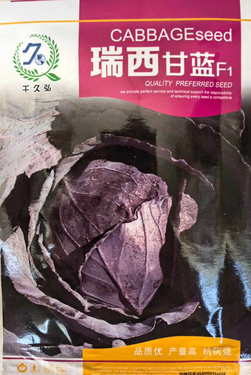 瑞西紫甘蓝种子圆球杂交耐裂紫色甘蓝大头菜紫包心菜春秋蔬菜
