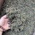 蒲公英茶新货批发正宗无硫蒲公英茶大量供应夏季畅销品