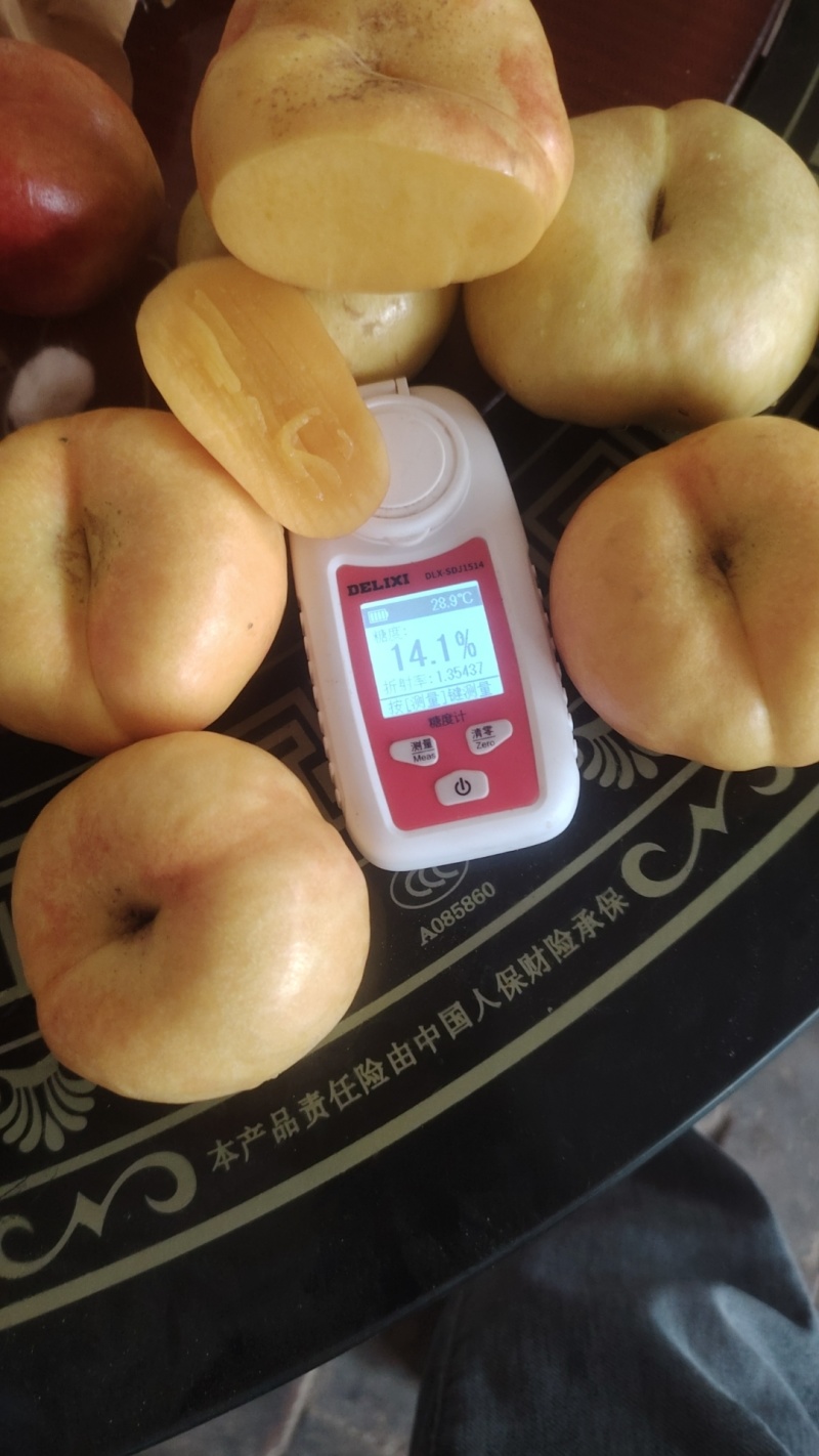 现有蟠桃两万余亩，正在大量收货中，有需要的客商，请速联系