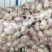 邳州精品大蒜、每个等级都有货、产地直发。