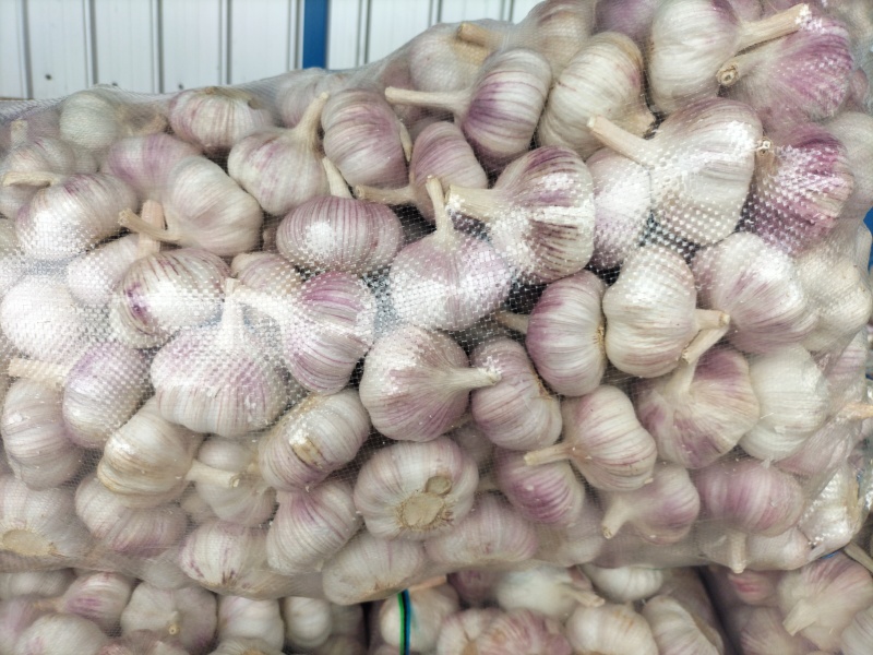 邳州精品大蒜、每个等级都有货、产地直发。
