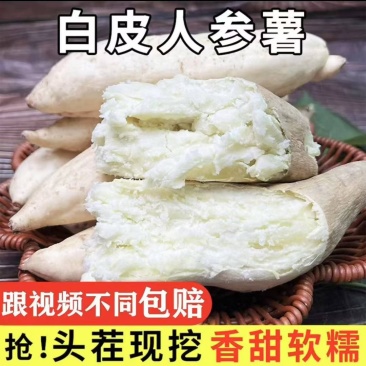 白皮白心人参薯电商一件代发