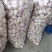 邳州精品大蒜、每个等级都有货、产地直发。