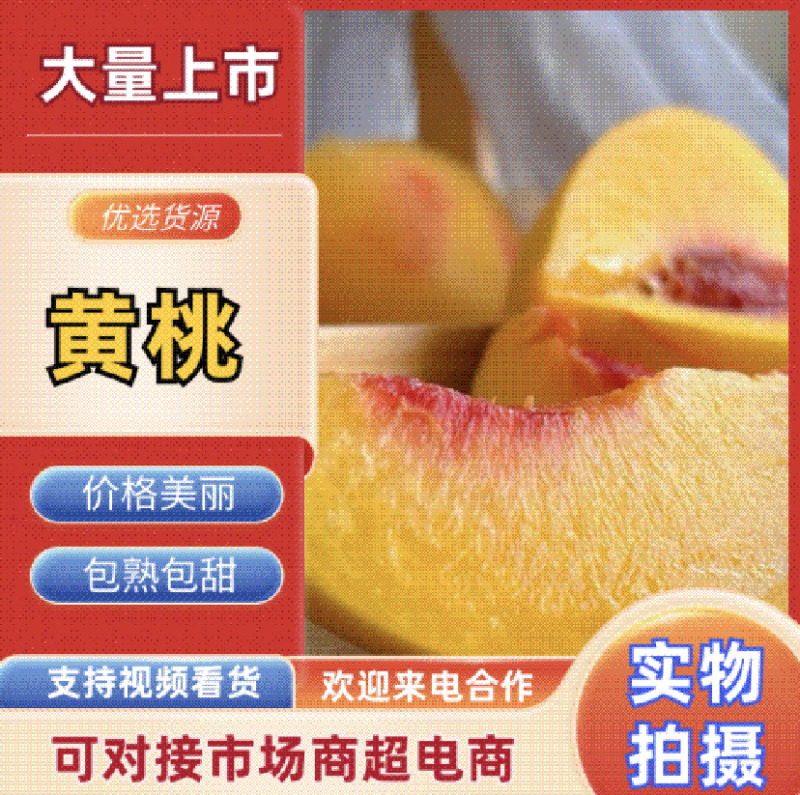 砀山黄桃，市场货，加工厂货全国发货，价格可谈，保质保量，