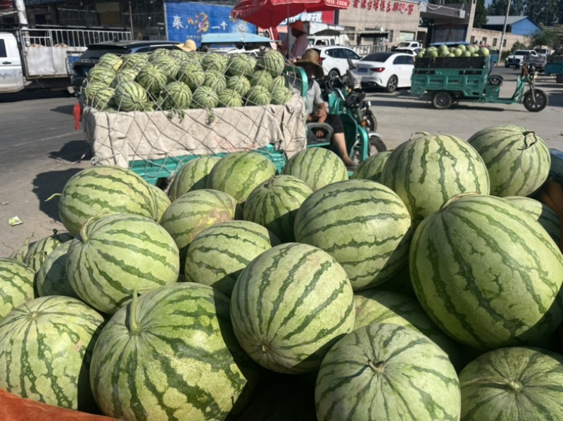 河南开封通许万亩西瓜基地开园，欢迎前来选购