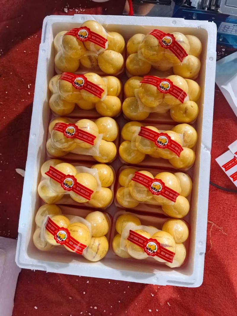 云南当季人参果，大量市