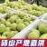 【新鲜直达】安徽砀山翠冠梨源头直采严格把控品质欢迎咨询